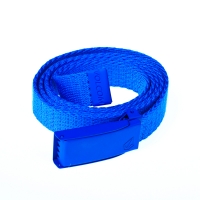 Volcom V Web bold blue