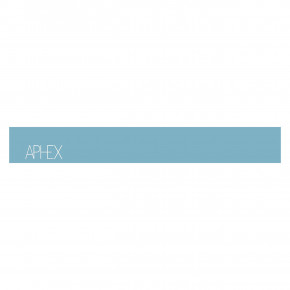Prejsť na produkt Aphex Strap petrol 2020/2021