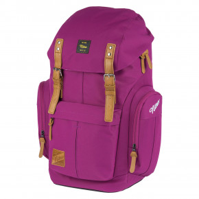 Přejít na produkt Batoh Nitro Daypacker grateful pink 2019