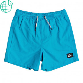 Go to the product Boardshorts Quiksilver Everyday Volley Youth 13 blithe 2020