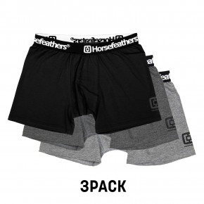 Přejít na produkt Trenýrky Horsefeathers Dynasty 3 Pack assorted 2019/2020