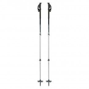Go to the product Jones Talon silver 2020/2021