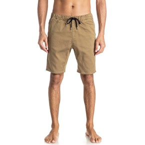 Prejsť na produkt Kraťasy Quiksilver Fonic Short elmwood 2017