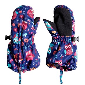 Přejít na produkt Rukavice Roxy Snows Up Mitt little owl blue print 2016/2017