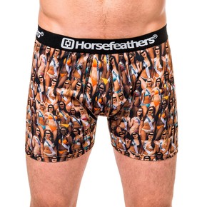 Přejít na produkt Trenýrky Horsefeathers Sidney babes 2016/2017