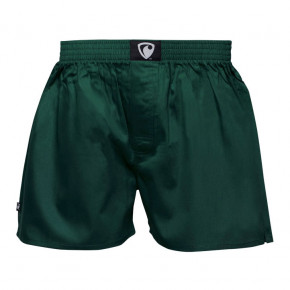 Přejít na produkt Trenýrky Represent Ali green 2018