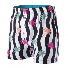Go to the product Boxer shorts Stance Beetle Beach multi 2019