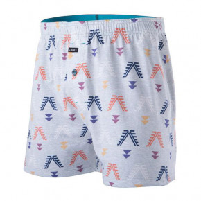 Go to the product Boxer shorts Stance Bow And Arrow grey 2019