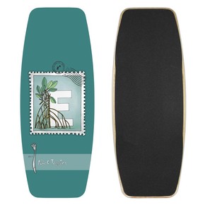 Přejít na produkt Wakeskate Remote Taylor 2017
