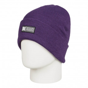 Go to the product Beanies DC Wms Label grape 2020/2021