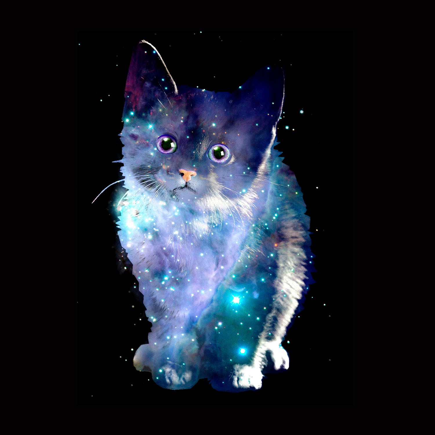 Котята в космосе