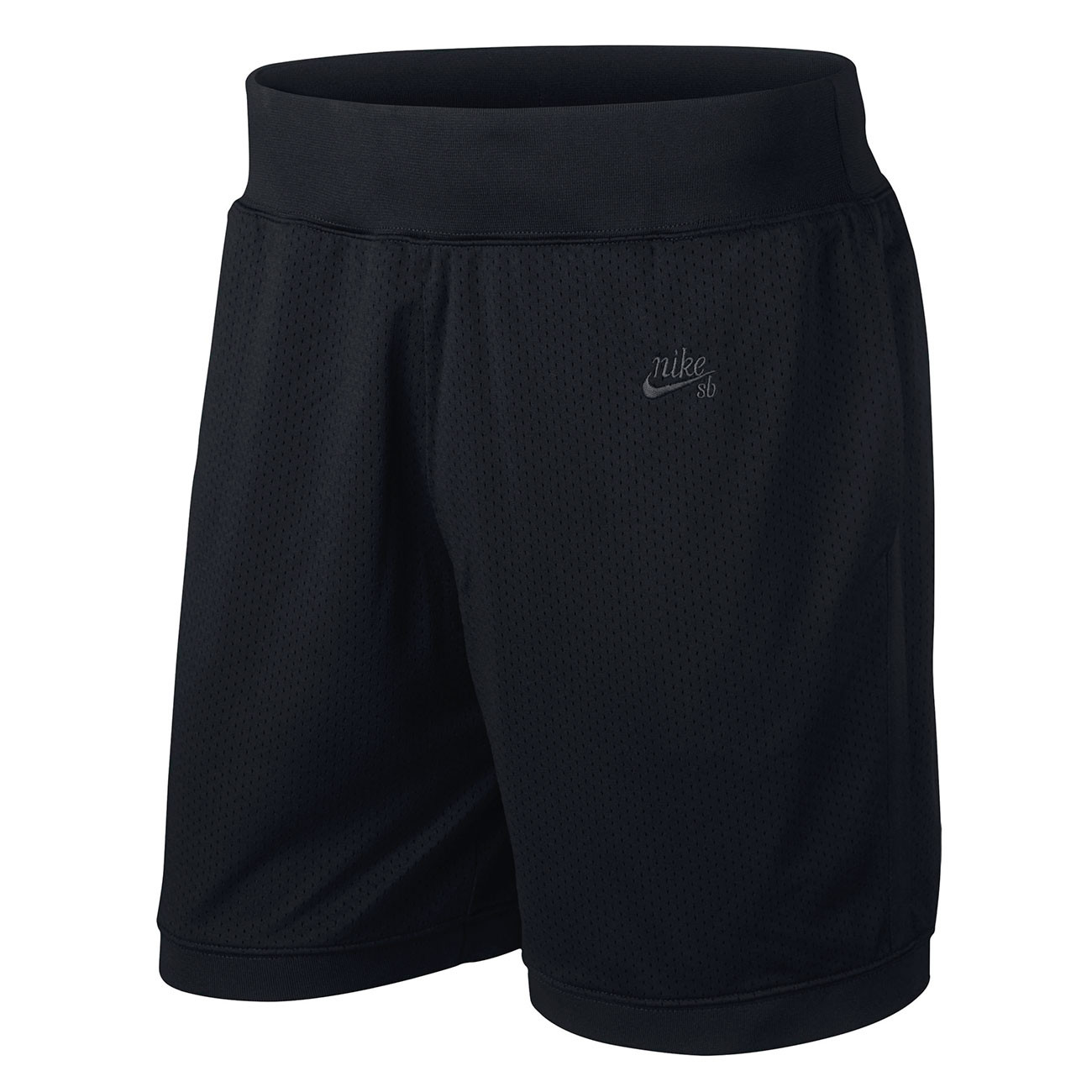nike sb court shorts