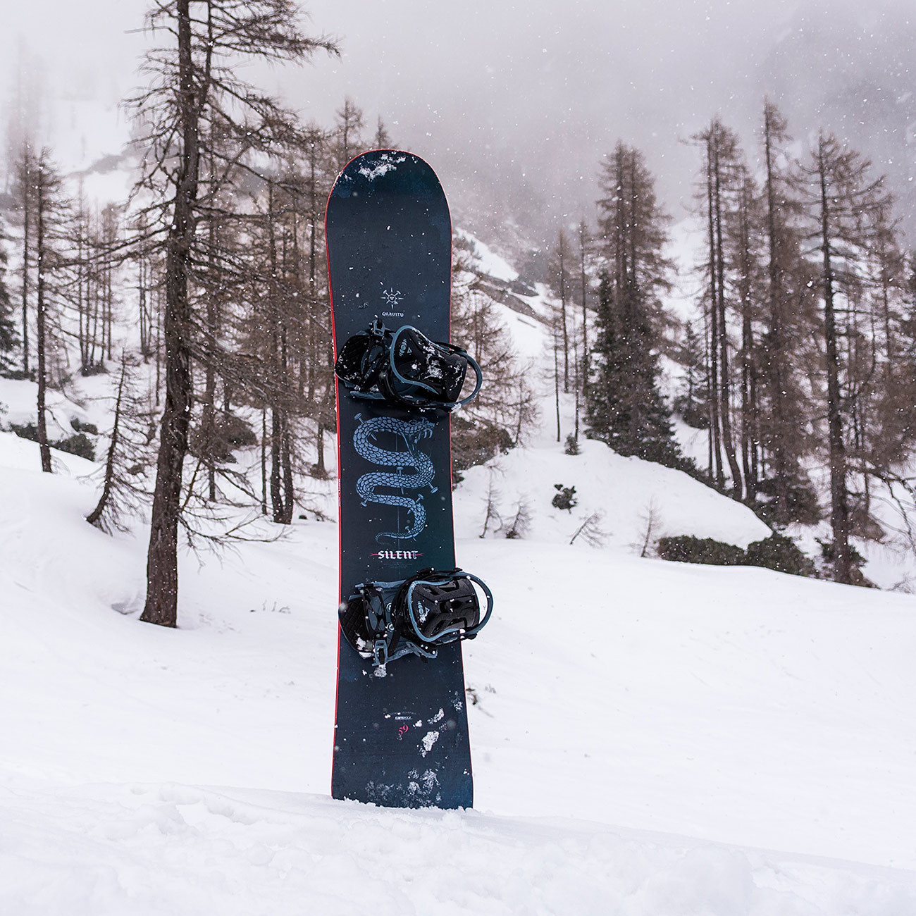 Snowboard Gravity Silent Snowboard Zezula