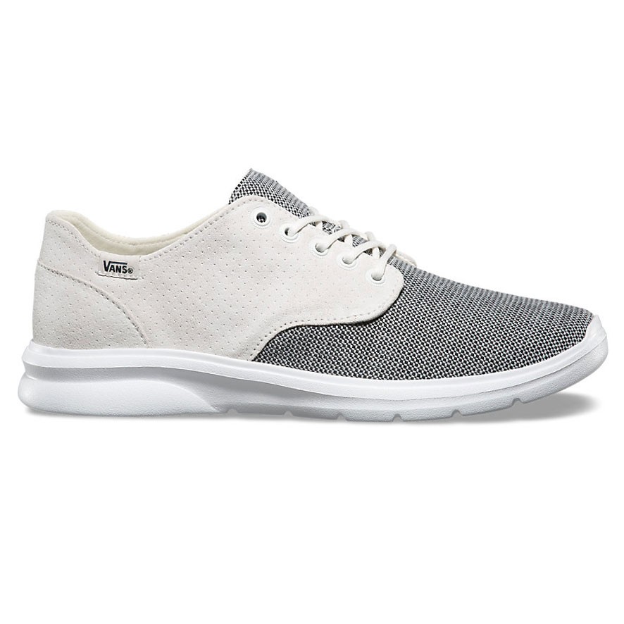 vans iso 2 grey